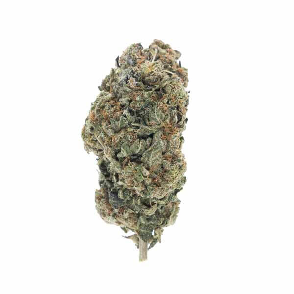 Blue Mystic - (AAAA) - Hybrid