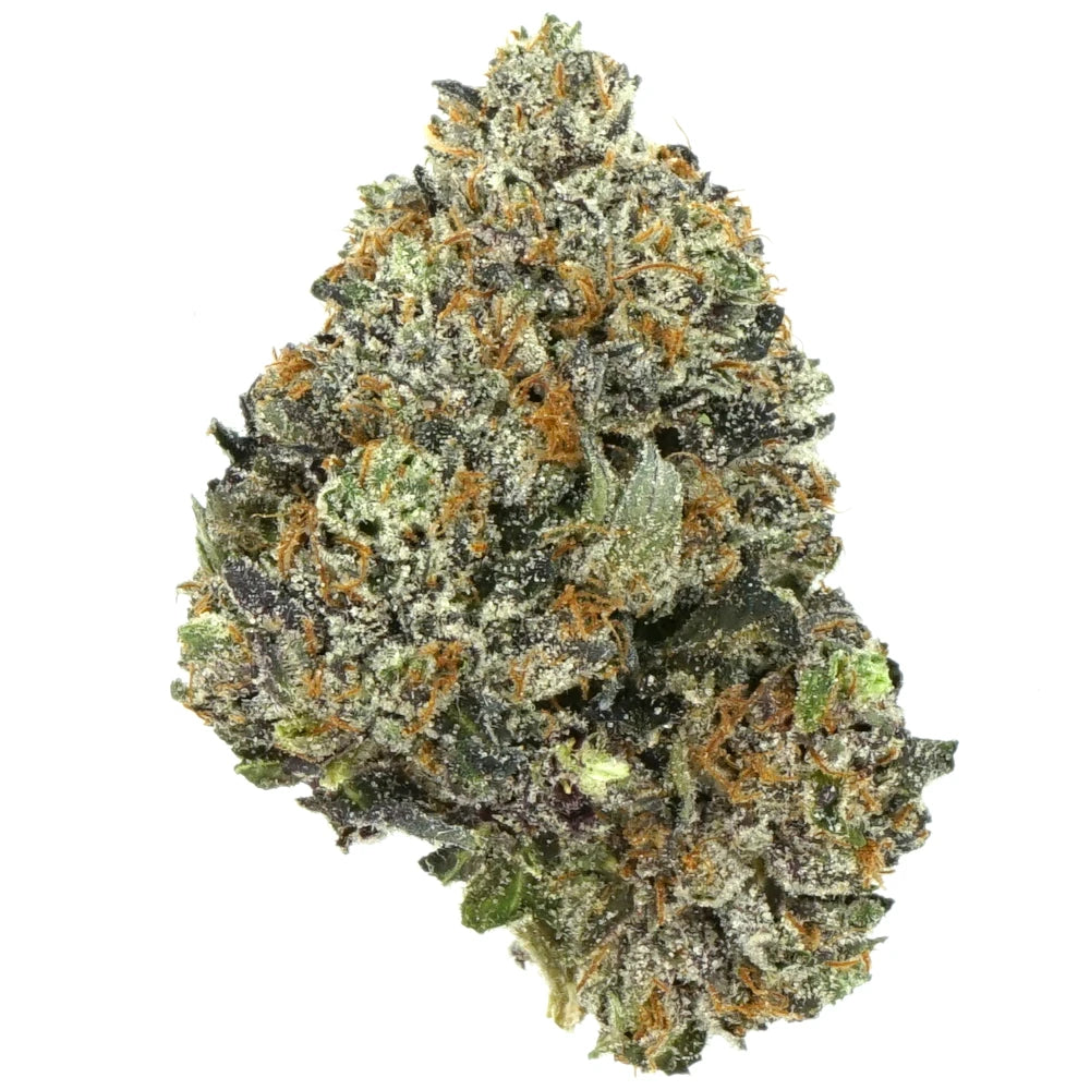 Gucci Pink - (AAAA) - Indica