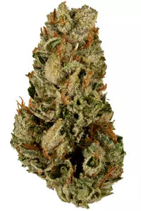 Ghost Train Haze - (AAAA) - Hybrid
